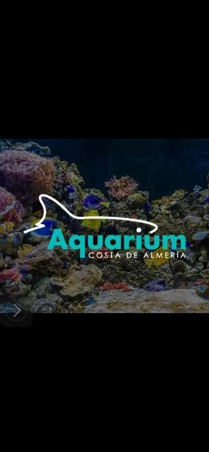 Piso Con Vistas Al Mar, Piscina, Terracita, Padel Y Zona De Juego Para Ninos Apartment Roquetas de Mar